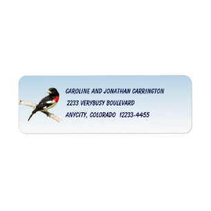 Rose-breasted Grosbeak Return Address Label