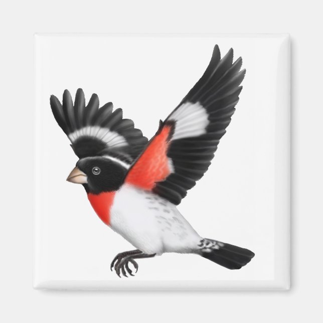 Rose Breasted Grosbeak Wild Bird Magnet (Front)