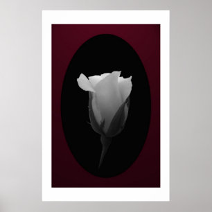 Rose Bud (Black & White) Poster