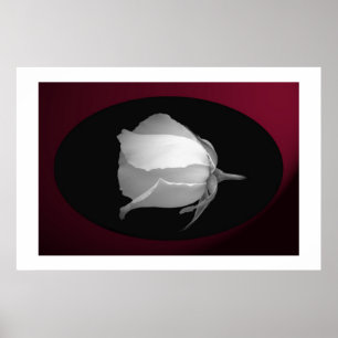 Rose Bud (Black & White) Poster