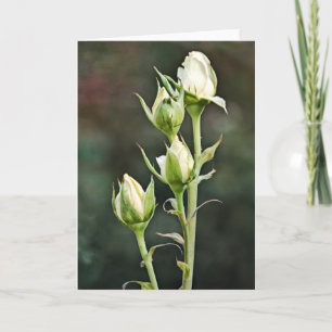Rose Bud Bunch Art Note Card