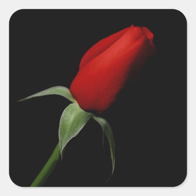 Rose Bud Stickers - Wedding Envelope Seals (Front)