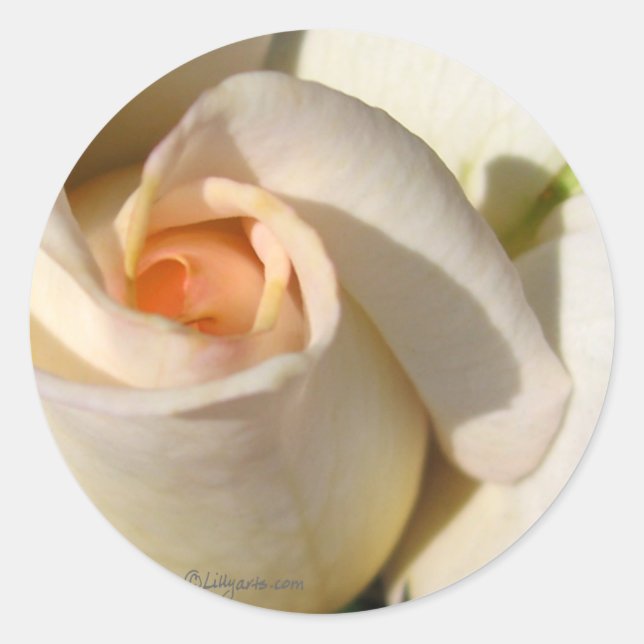 Rose bud  Wedding Envelope Seal (Front)