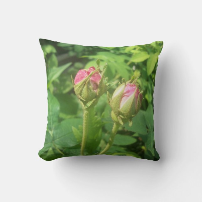 Rose Buds Cushion (Front)