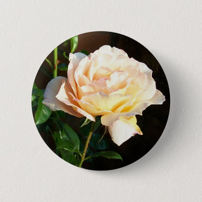 Rose Button or Badge (Front)