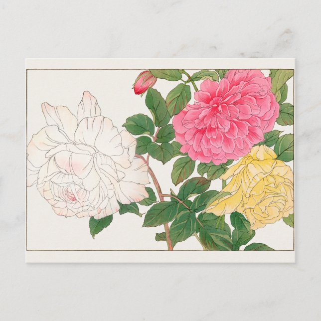 Rose by Tanigami Konan Postcard (Front)