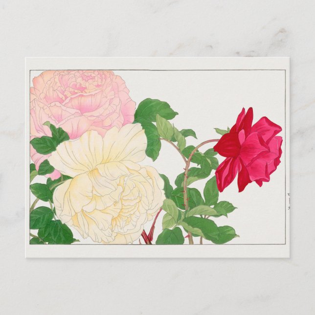 Rose by Tanigami Konan Postcard (Front)
