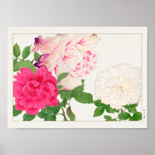 Rose by Tanigami Konan Poster