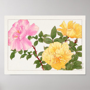 Rose by Tanigami Konan Poster