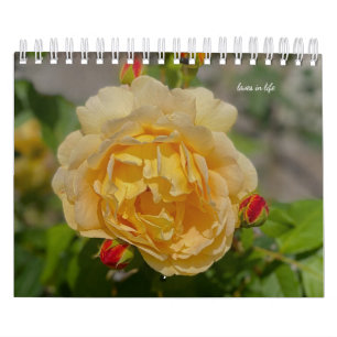 Rose calendar