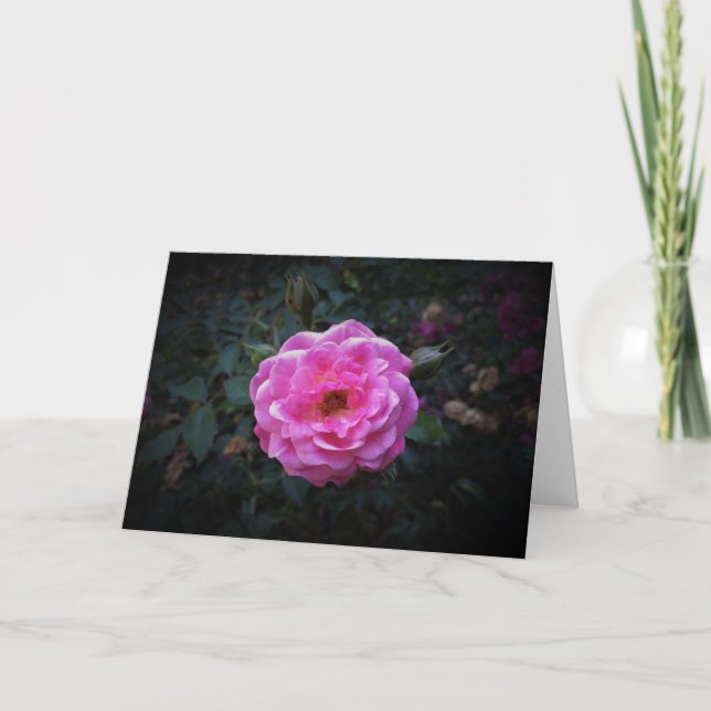 Rose, card (Front)