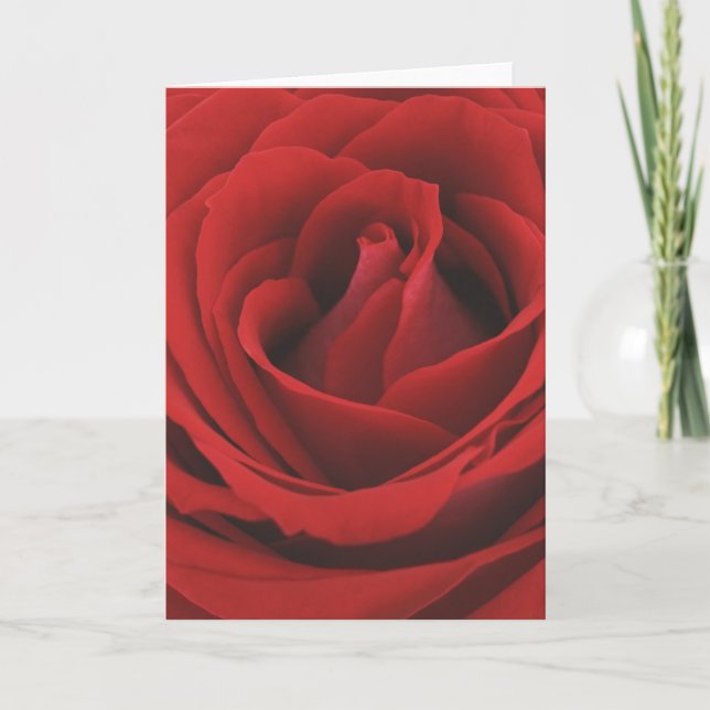 rose card (Front)
