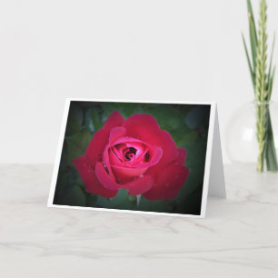 Rose, card