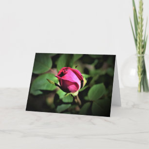 Rose, card