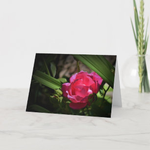 Rose, card