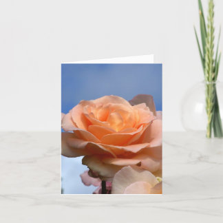 rose card