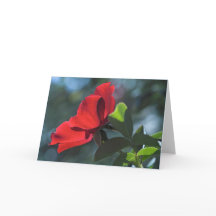 Rose Card