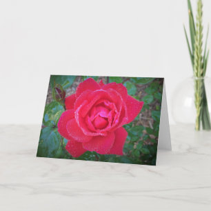 Rose, card