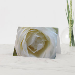 Rose Card
