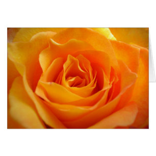 Rose Card