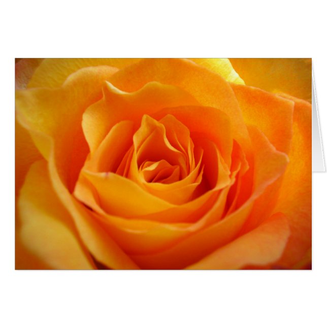 Rose Card (Front Horizontal)