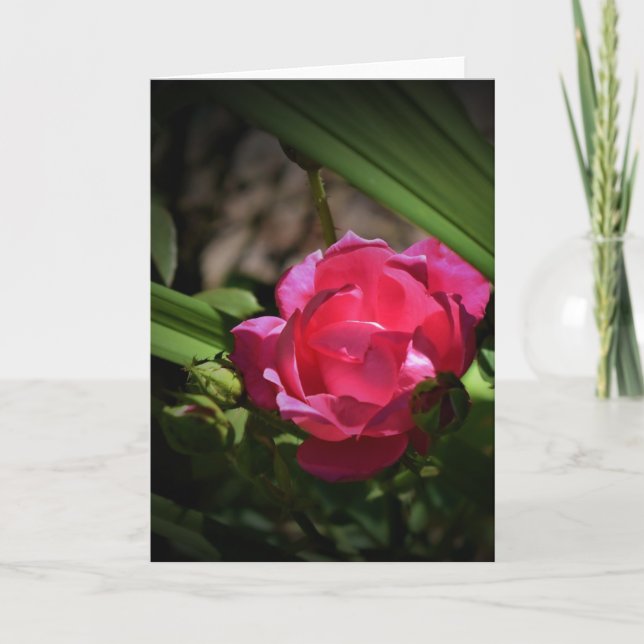 Rose, card (Front)