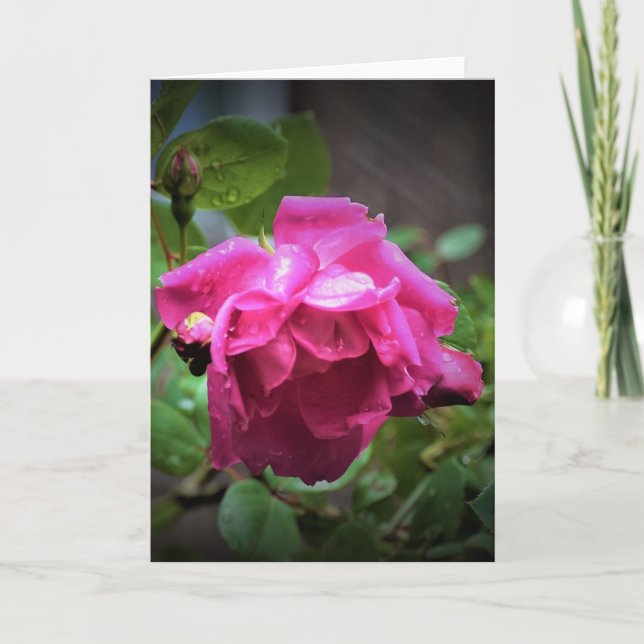 Rose, card (Front)