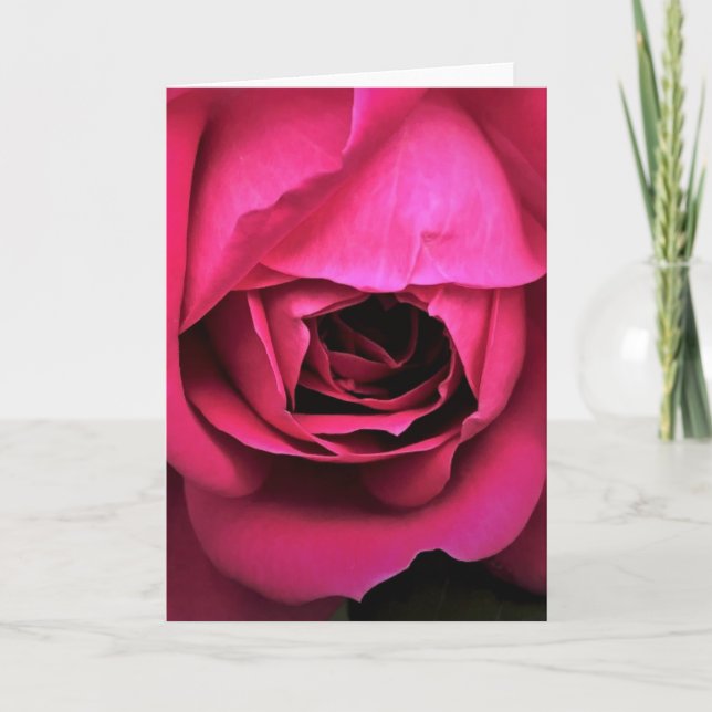 Rose, card (Front)