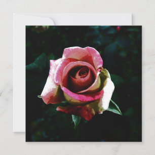 rose card