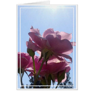 Rose card, blank, 7