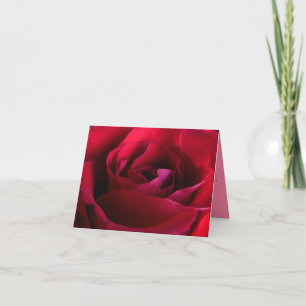 Rose Cards Red Flowers Custom Greeting Card