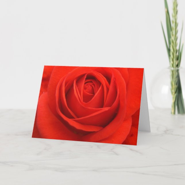 Rose cards, Red Holiday Card (Front)
