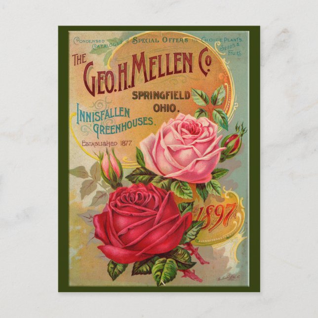 Rose Catalogue Postcard (Front)