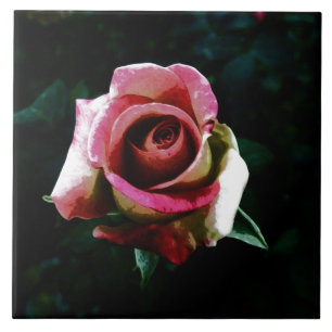 rose  ceramic tile