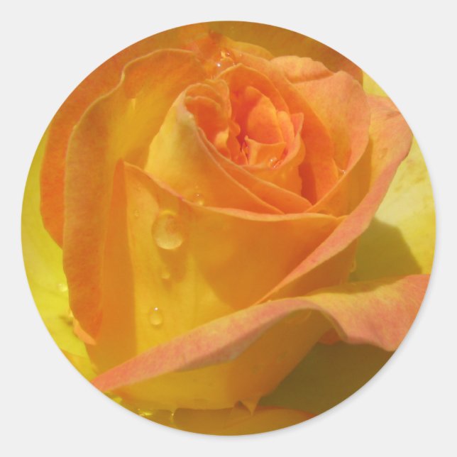 Rose Classic Round Sticker (Front)