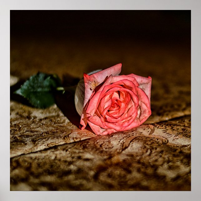 Rose Close-Up poster (Front)