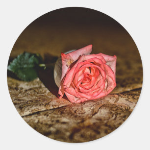 Rose Close-Up stickers