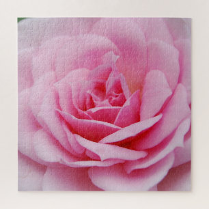 Rose Closeup Photography Jigsaw Puzzle