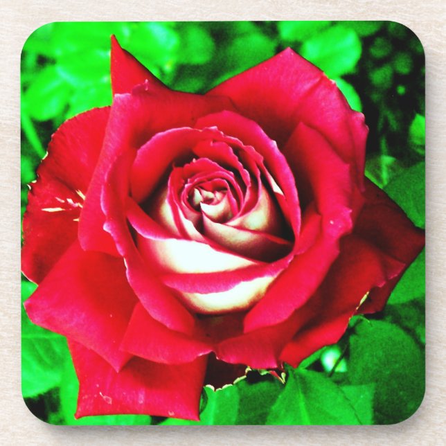 Rose Coaster (Front)