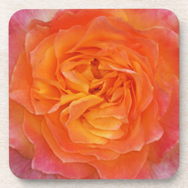 Rose Coaster (Front)