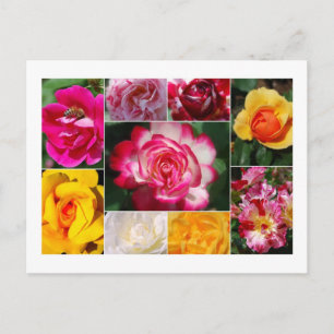 Rose Collage Postcard