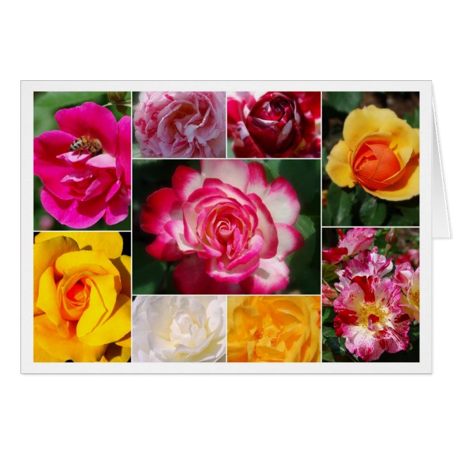 Rose Collage Yellow Interior Card (Front Horizontal)