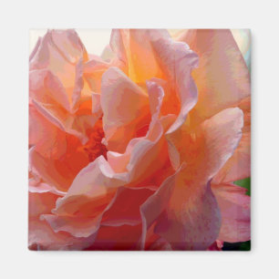 Rose Colour Expression Square Magnet