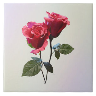 Rose Couple Ceramic Tile