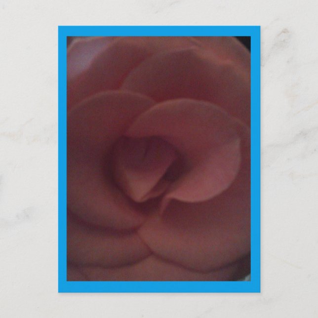 Rose Dragon Postcard (Front)