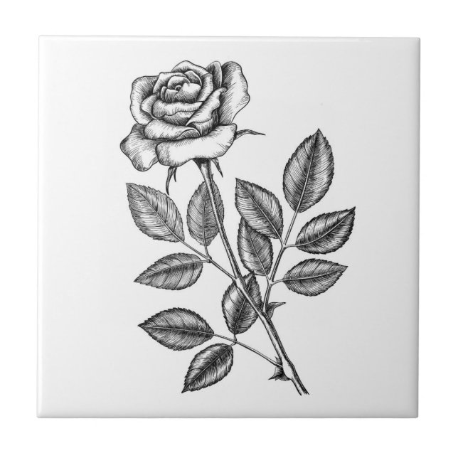 Rose drawing 2 ceramic tile (Front)