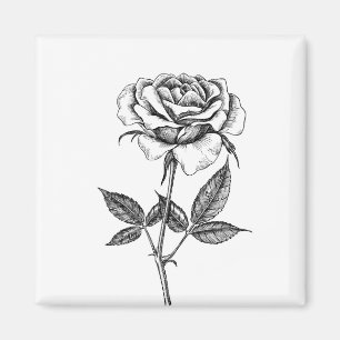 Rose drawing magnet