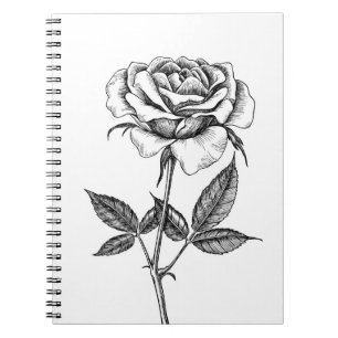 Rose drawing notebook