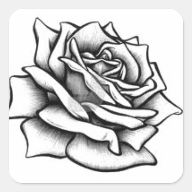 Rose Drawing Square Sticker (Front)