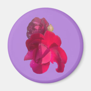 Rose E Magnet